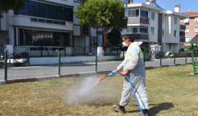 Kene ve Haşerelere Karşı İlaçlama Çalışmaları 