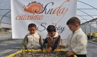 Küçük Eller, Büyük Dokunuşlarla “Cittaslow Sunday”i Güzelleştirdi