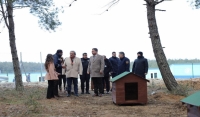 Sahipsiz Hayvan Doğal Yaşam Alanı İnceleme