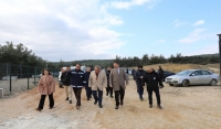 Sahipsiz Hayvan Doğal Yaşam Alanı İnceleme