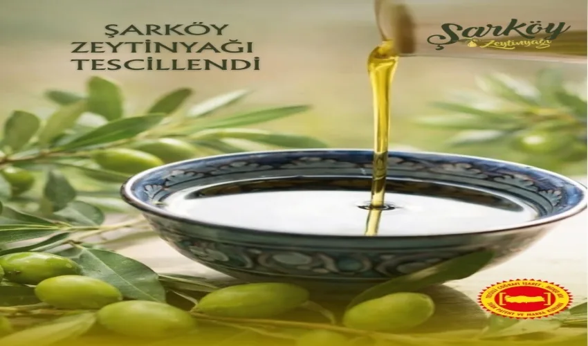 Şarköy Zeytinyağı Artık Coğrafi İşaretli